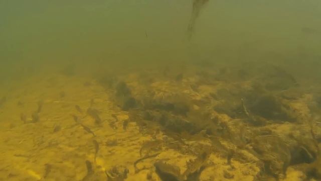 Водный поход о реке Сула или обратная сторона байдарки / Сплав на байдарках / поход по Беларуси смотреть онлайн