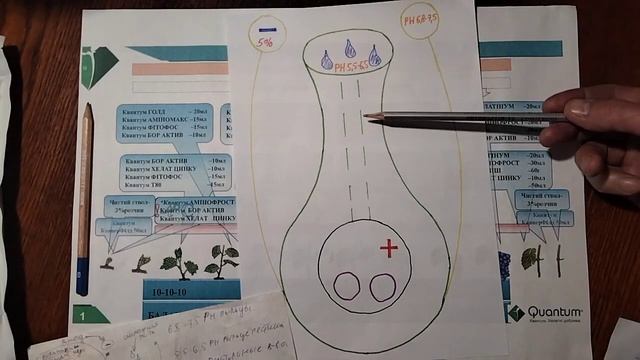 Один сезон на винограднике 2022/4. ХОРОШЕЕ ОПЫЛЕНИЕ винограда смотреть онлайн