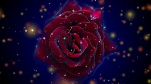 Футаж. Цветочный фон 93