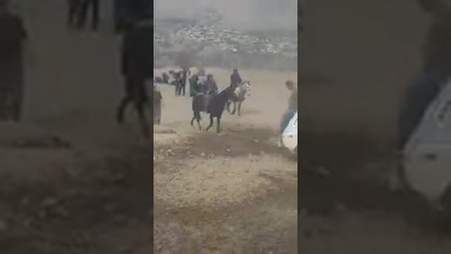 Чемпион чёрная акула панжакент таджикистан смотреть онлайн