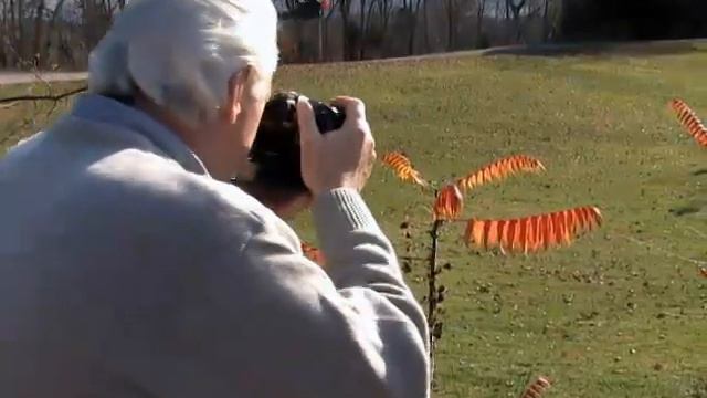 Roger Lowe - Outdoor Photography As A Sport смотреть онлайн