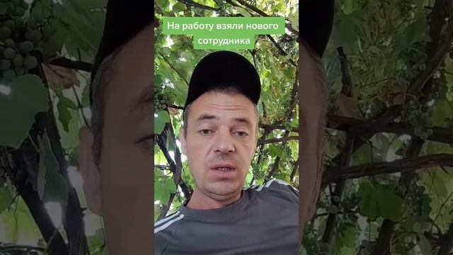 Самая древняя профессия / приколы, анекдоты, короткие ролики для вотсапп смотреть онлайн