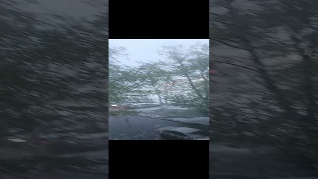 Из Кыргызстана