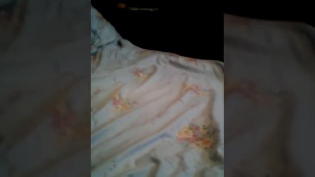 Я съел муху на завтрок смотреть онлайн