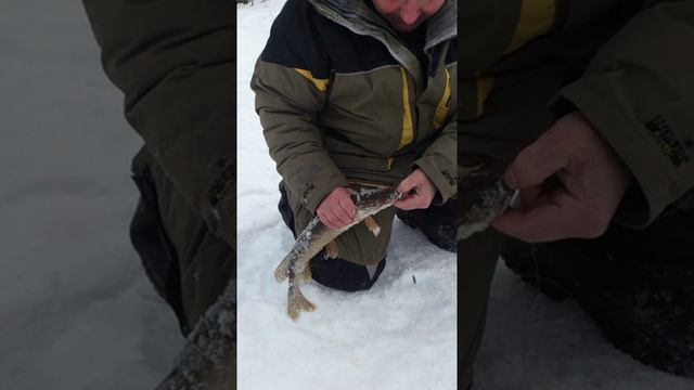 Зимняя рабалка