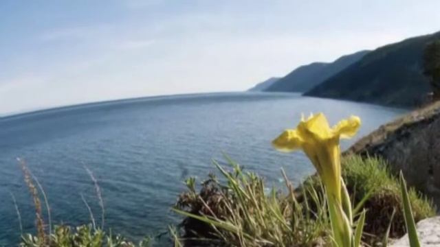 Мой Байкал смотреть онлайн