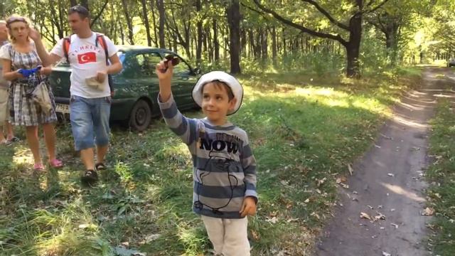 Цветы и бабочки. Природа Харьковщины смотреть онлайн