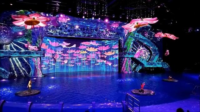 5. Мюзикл на воде "Сон в летнюю ночь". Танец мокриц. Москвариум. Шоу на воде. ВДНХ смотреть онлайн