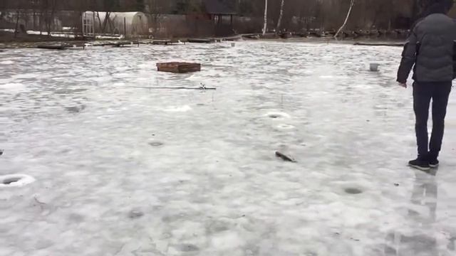 Ловля форели со льда . РК Фишка Липки. смотреть онлайн