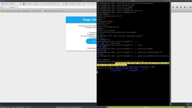 Beego GoLang смотреть онлайн