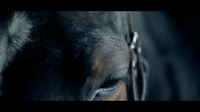 Monika Linkytė - Skęstu (OFFICIAL MUSIC VIDEO)