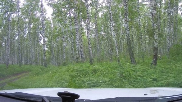 MMC Pajero Sport 2 + прицеп. Лёгкий "offroad". Выезд с озера. 07.2019