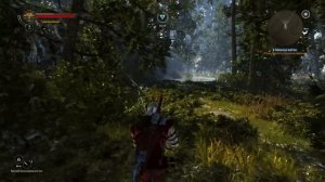 [2] ВЕДЬМАК 2: УБИЙЦЫ КОРОЛЕЙ БАЛДЕЖНОЕ ПРОХОЖДЕНИЕ