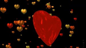 Небо пополам (поёт Светлана Синчук)