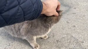 Финал проекта Nissan Atlas 1987! Покраска рамы, ремонт кузова