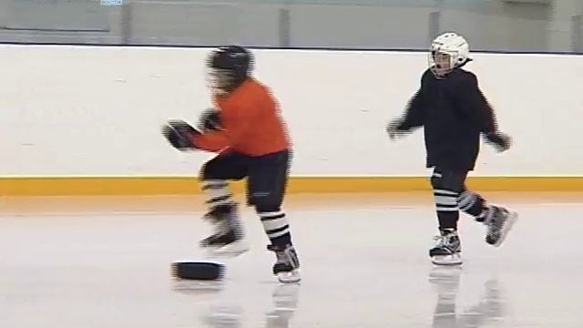 Секция по хоккею смотреть онлайн