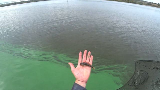 ТАКОГО КЛЁВА Я ЕЩЕ НЕ ВИДЕЛ! 24 ЧАСА НА РЫБАЛКЕ. РЕКА ДНЕПР. смотреть онлайн