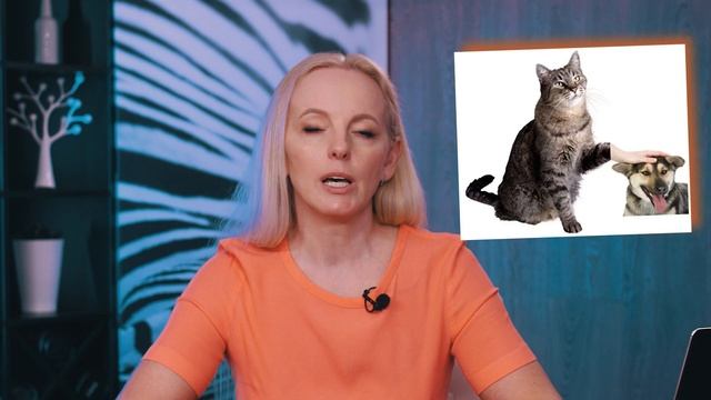 РОП — взращивать или взять со стороны. Оба варианта НЕ РАБОТАЮТ смотреть онлайн