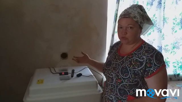 Кобб 500!! Комментаторы веселят ! смотреть онлайн