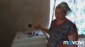 Кобб 500!! Комментаторы веселят !