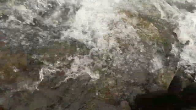 Кета идет на нерест часть 1 смотреть онлайн