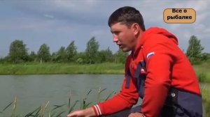 Фидерная ловля на пруду | Как ловить на фидер?