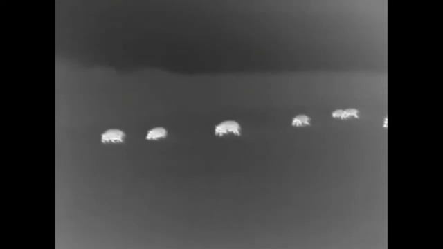 Guide TrackIR 50 cała prawda surowe nagranie смотреть онлайн