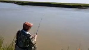 ПОПАЛИ НА ЖОР СУДАКА! ЛОВЛЯ СУДАКА НА ЖИВЦА!