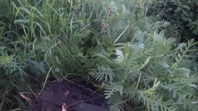 НОВЫЙ ВИД ЗАРАБОТКА НА СТОЛБАХ! ДОБЫВАЕМ МЕТАЛЛ В ТРУДНЫХ МЕСТАХ! Коп металлолома смотреть онлайн