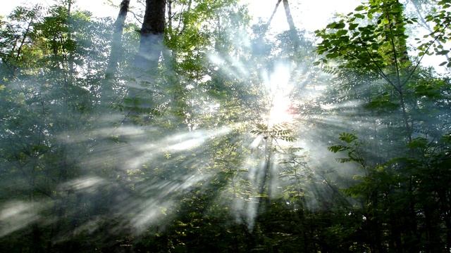 Древняя мантра сердца — I Wanna Fly смотреть онлайн