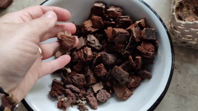 Bc. Golf green hair pig-посадка смотреть онлайн