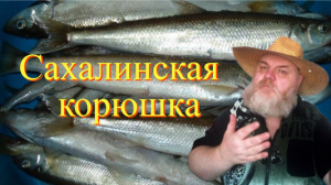 Корюшка Зубатка.