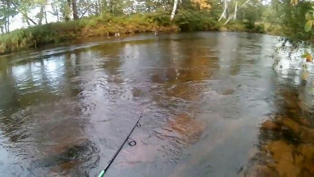 Рыбалка на севере Сахалина в сентябре 2019 года. смотреть онлайн