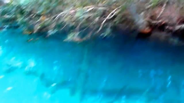 № 2517 США Двое в Лодке не считая Крокодила Флорида