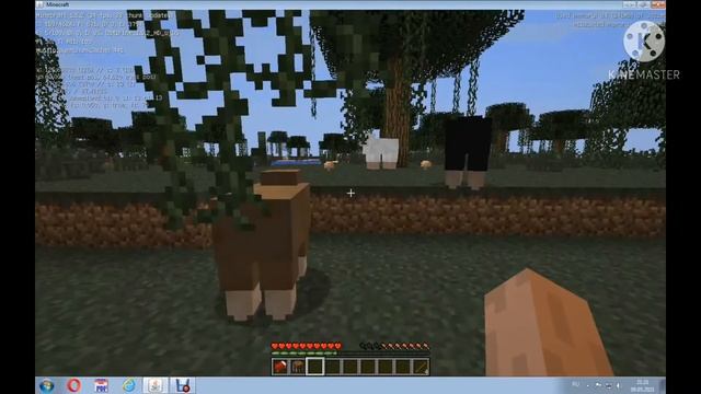 Майнкрафт но каждая версия Майнкрафта изменяется при днём победы Майнкрафту 10 лет 1.2.5