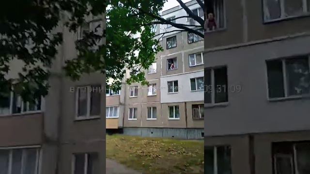 23.08.2022 с псом проходил мимо ...))) Светлогорск Гомелская смотреть онлайн