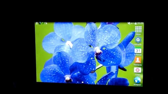 Фиолетовые орхидеи, стерео живые обои для ОС Андроид -  Purple Orchid LWP