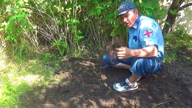 19 Большие корни растут (1).mp4 смотреть онлайн