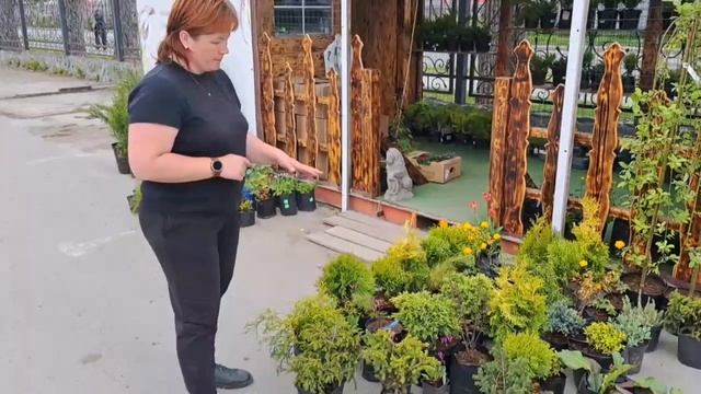 Открылась торговая точка по адресу: Южно-Сахалинск, Вокзальная 71. Телефон 89624162924 смотреть онлайн