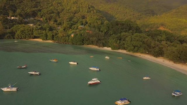 What To Do In Paradise? Seychelles смотреть онлайн