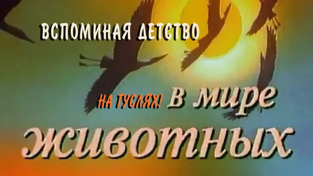 В мире животных музыка слушать на гуслях Поль Мориа. Вспоминая детство... смотреть онлайн