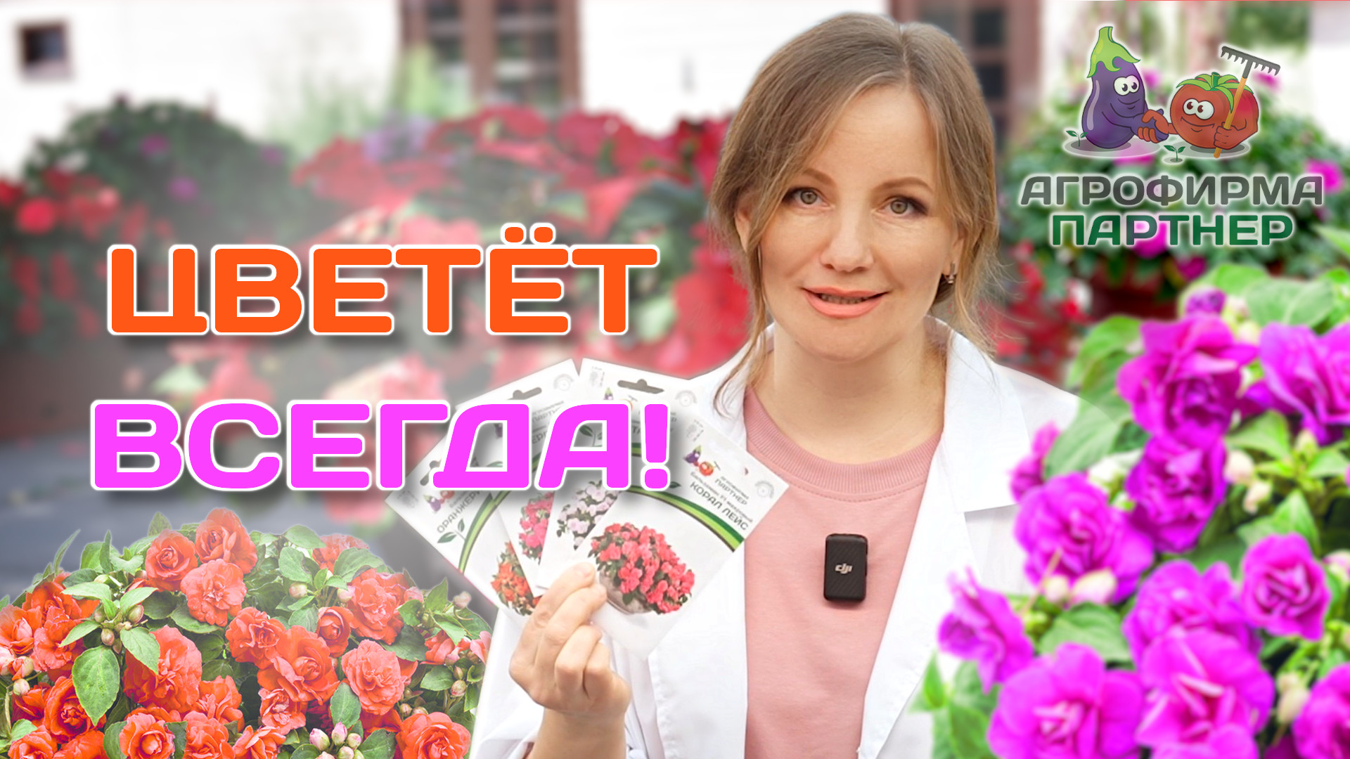 Посев бальзамина на рассаду | #цветы #дача #семена смотреть онлайн