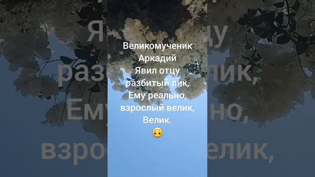 Автор SouL, стишки пирожки смотреть онлайн