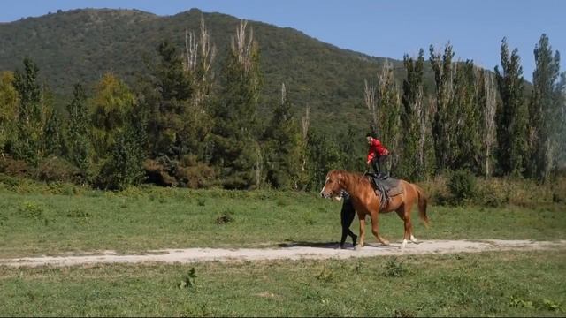 Иван Сергеевич Тархов, 5 лет, казачья джигитовка смотреть онлайн