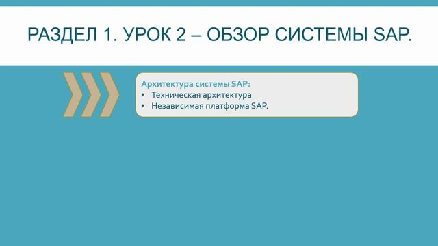 001_Обзор системы SAP смотреть онлайн