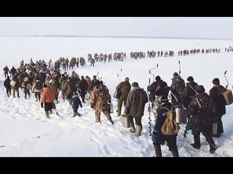 Новые приколы про рыбаков / Смешное видео на рыбалке смотреть онлайн