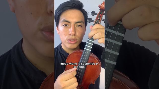 Las Notas En El Violín🎻 #violin #tutorial #violinista #violinist #violinteacher #violintab #fyou