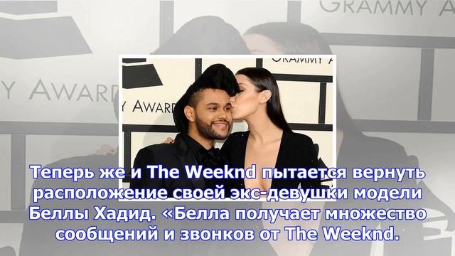 The weeknd намеревается добиться расположения беллы хадид смотреть онлайн