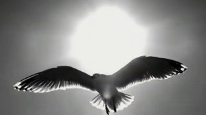 Красивая еврейская песня...