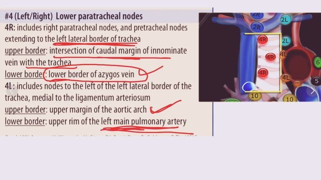 #LYMPH NODE STATIONS IN #LUNGS? смотреть онлайн